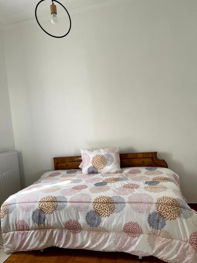 Appartement Η Ελπίδα Και Η Γιάννα Ξεκίνησαν Ένα Χώρο Cute à Vólos Extérieur photo